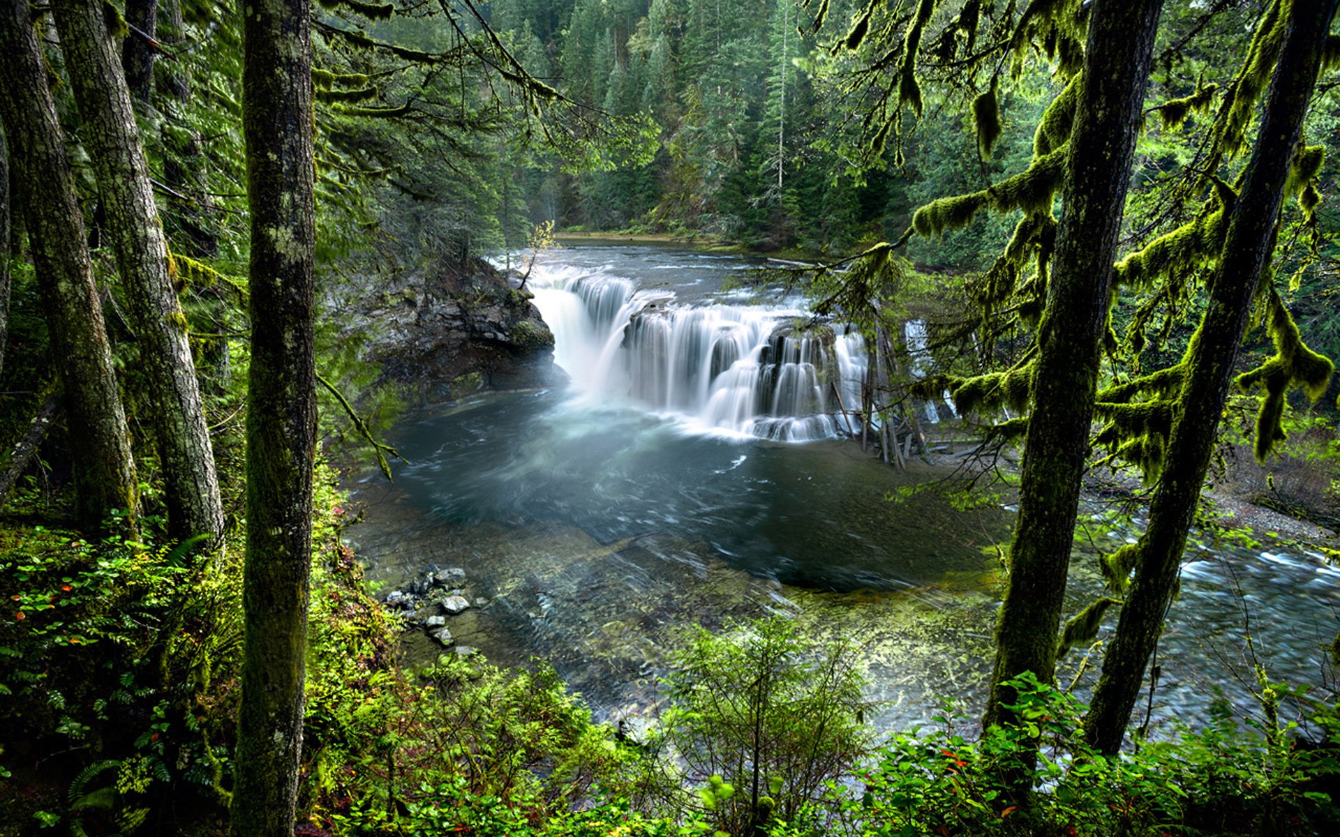 Download Green Tree Forest Nature Waterfall HD Wallpaper