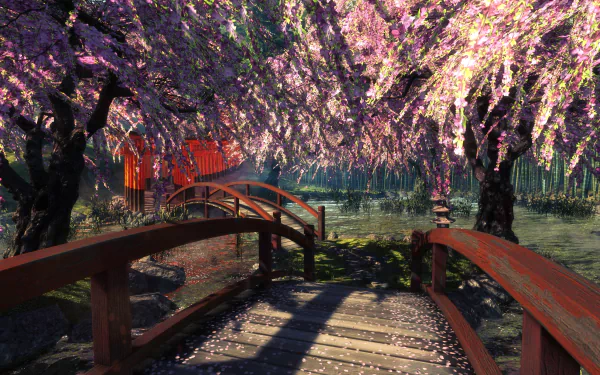  Shadow Warrior pic 2