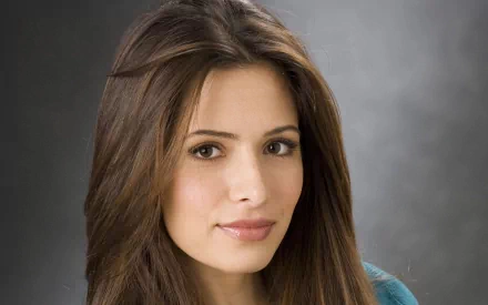 HD desktop wallpaper featuring a woman tagged as Sarah Shahi, showcasing her with long brown hair and a gentle expression against a soft gray background.