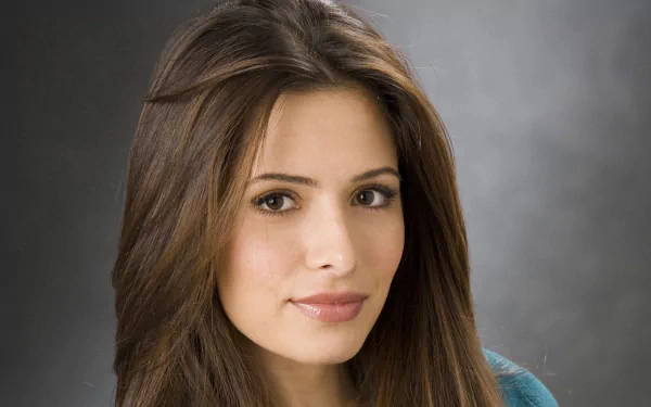 HD desktop wallpaper featuring a woman tagged as Sarah Shahi, showcasing her with long brown hair and a gentle expression against a soft gray background.