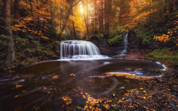 Nature Waterfall Waterfalls Forest Fall Stream Foam HD Wallpaper | Background Image