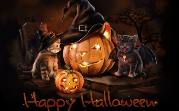 Holiday Halloween Kitten Jack-O'-Lantern Happy Halloween HD Wallpaper | Background Image