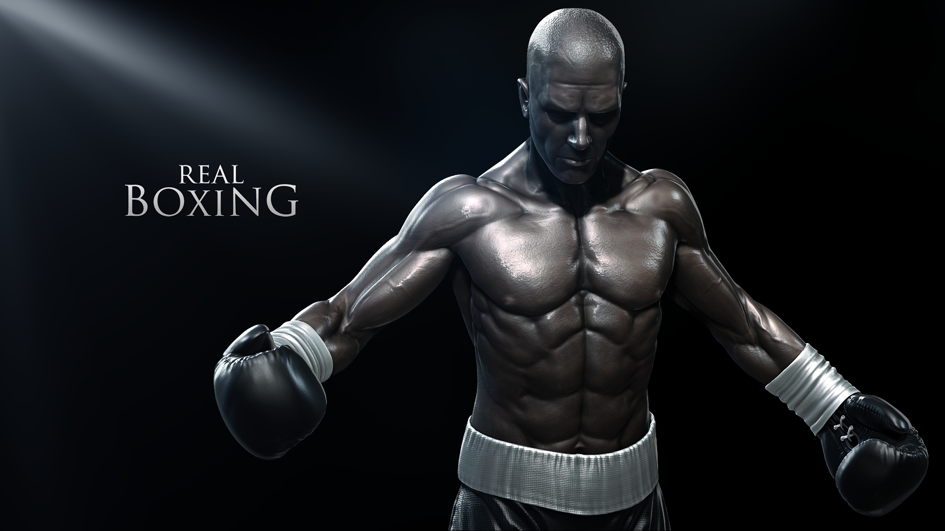 Real Boxing HD Wallpaper | Background Image | 1920x1080 ...