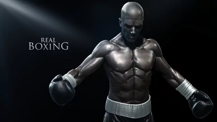 video game Real Boxing HD Desktop Wallpaper | Background Image