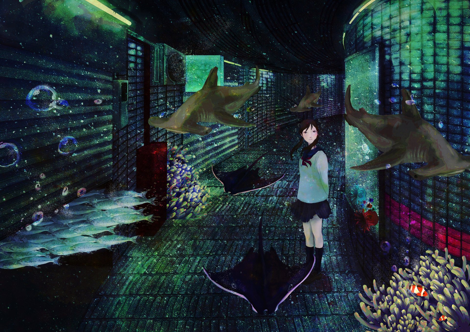 Download Shark Anime Original HD Wallpaper