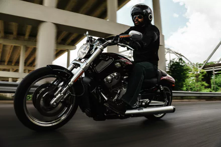  2017 Harley-Davidson V-Rod Muscle