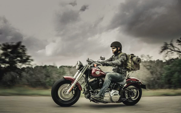  2017 Harley-Davidson Softail Slim