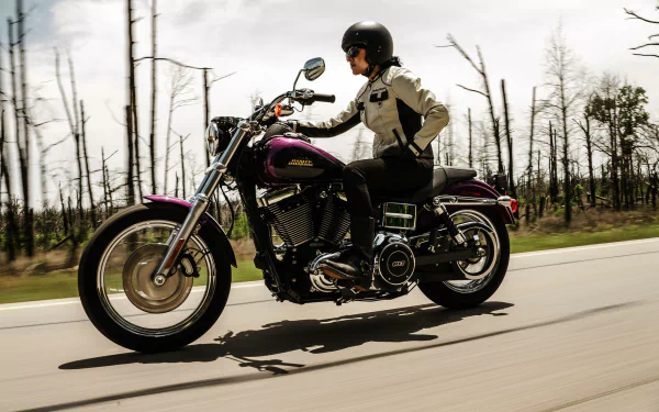  2017 Harley-Davidson Low Rider