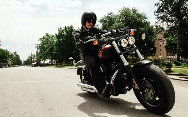  2017 Harley-Davidson Fat Bob