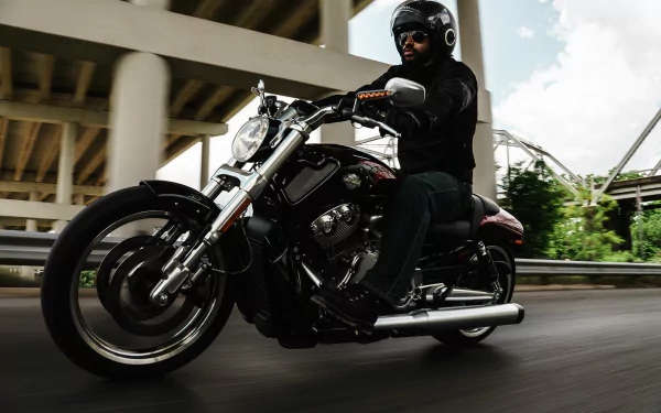  2017 Harley-Davidson V-Rod Muscle