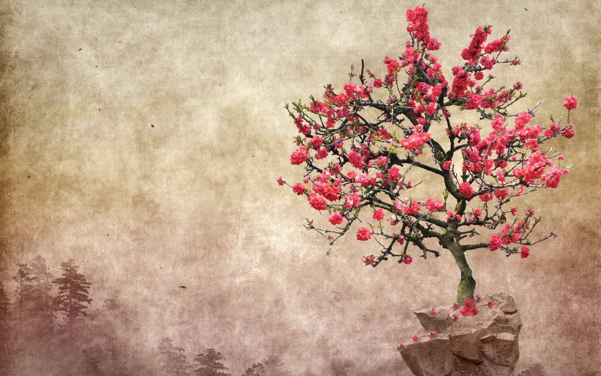 Blossoming Tree HD Wallpaper | Background Image | 1920x1200 | ID:760307