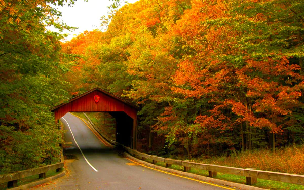 A vibrant fall scene featuring a man-made covered bridge over a winding road surrounded by autumn-colored trees, captured as an HD PC desktop wallpaper.