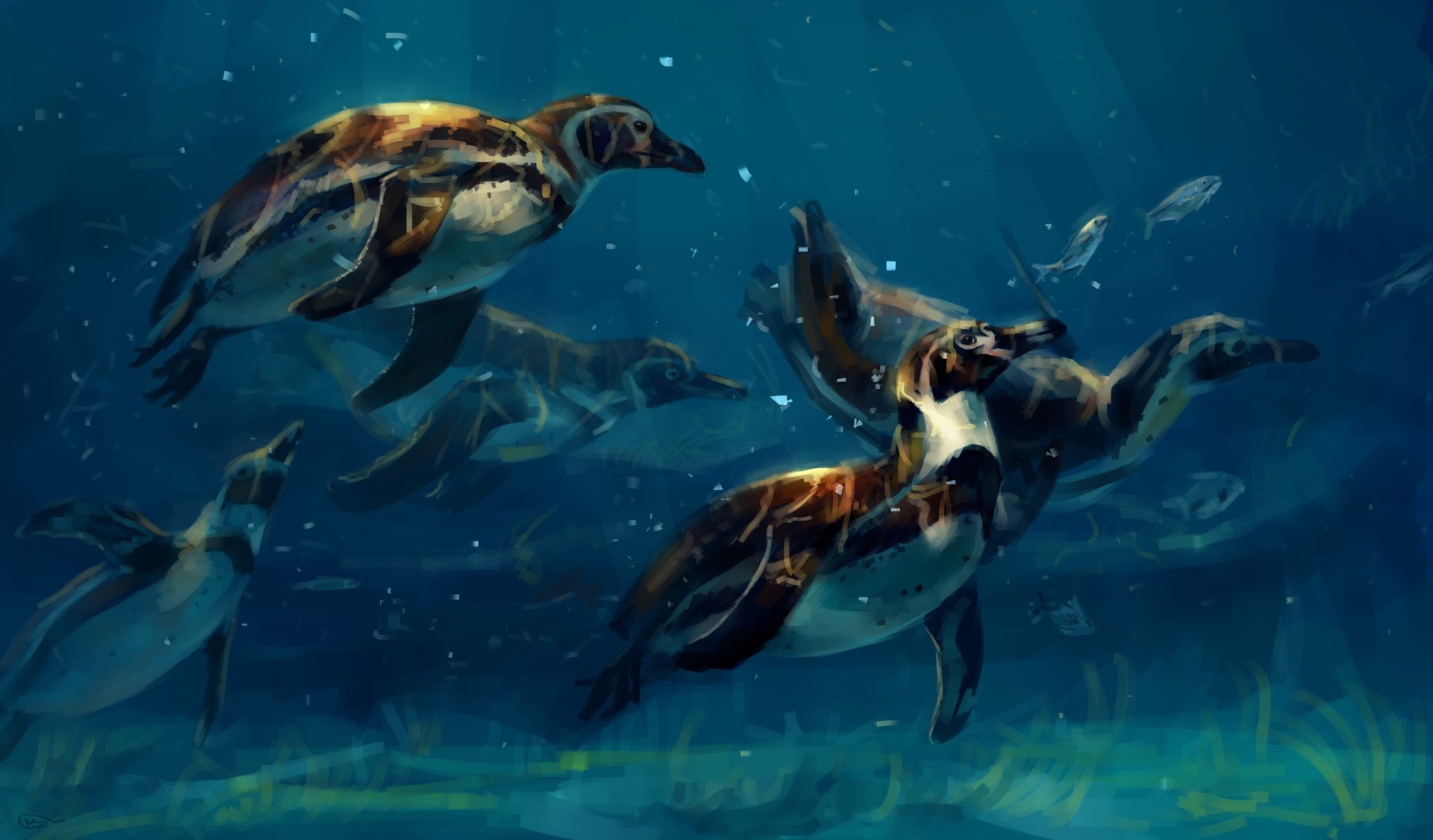 Download Underwater Animal Penguin HD Wallpaper by Александра Кожанова