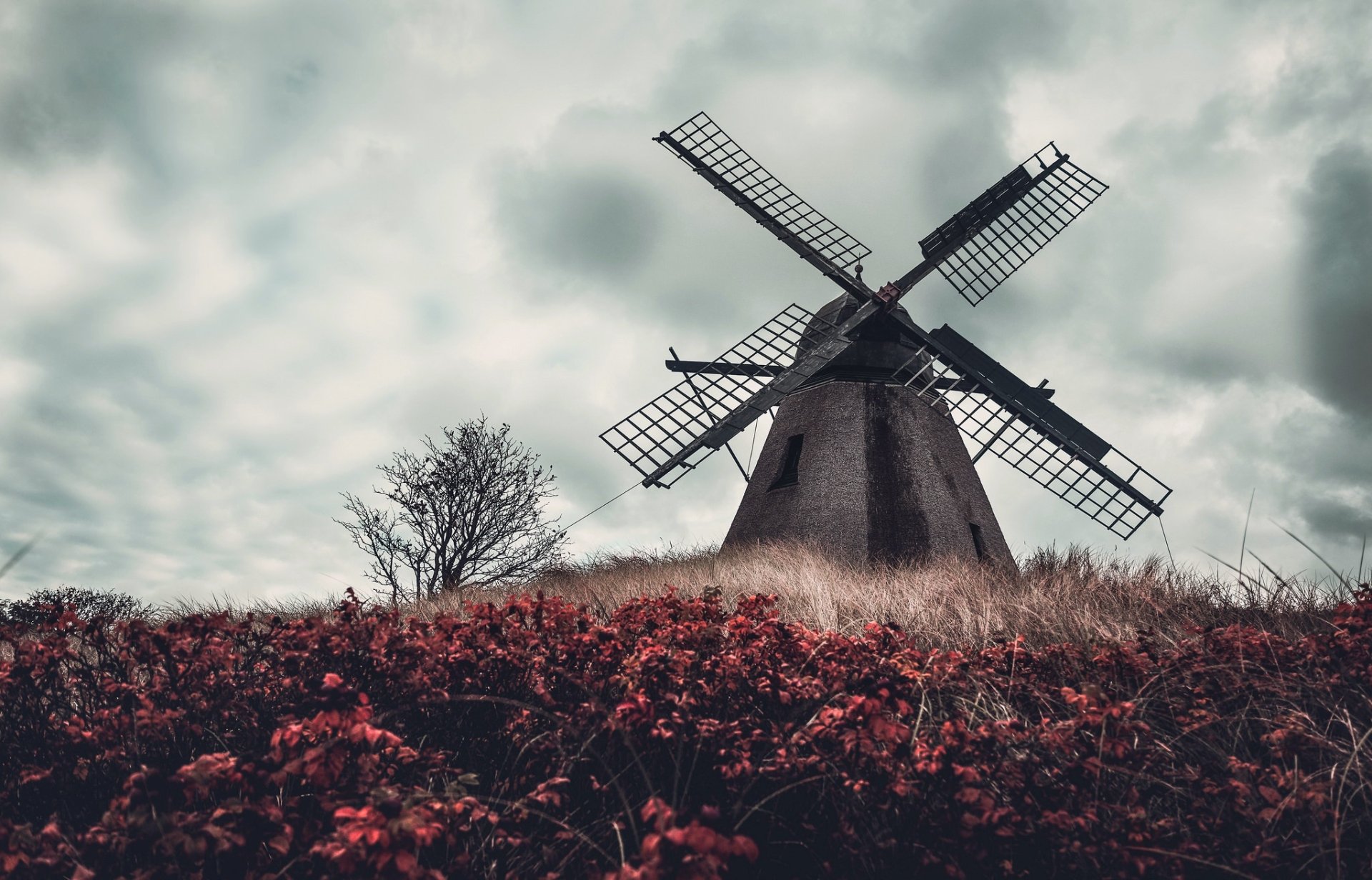 Windmill HD Wallpaper
