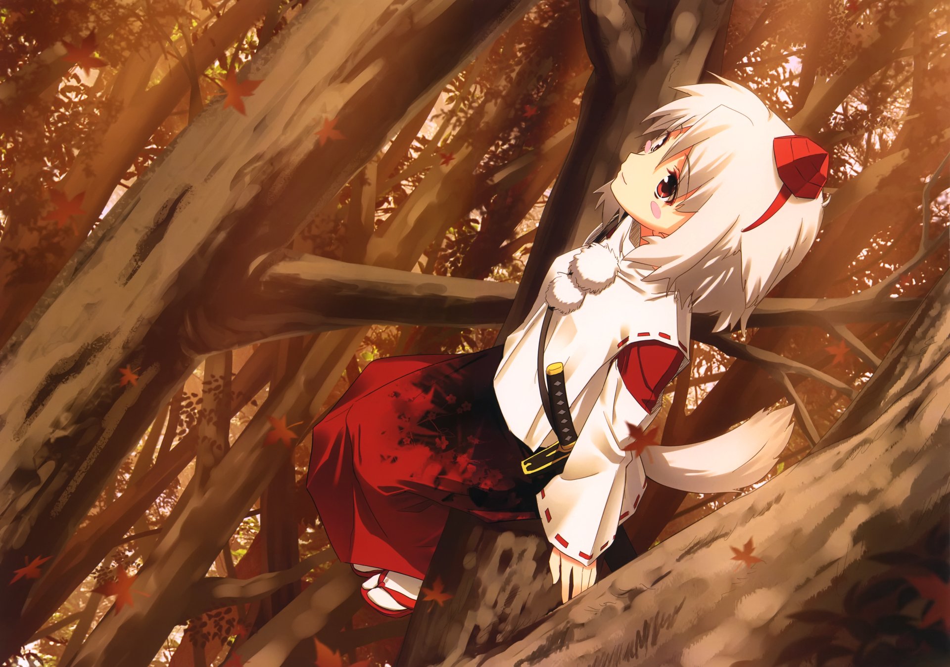 Download Momiji Inubashiri Anime Touhou 4k Ultra HD Wallpaper