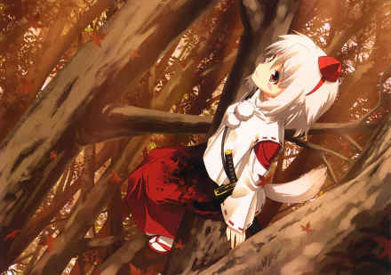 Momiji Inubashiri Anime Touhou HD Desktop Wallpaper | Background Image