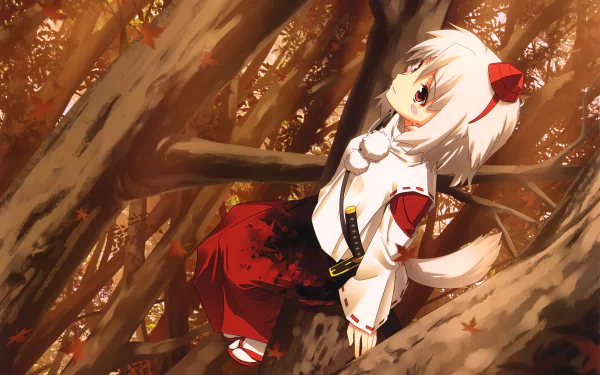 Momiji Inubashiri Anime Touhou HD Desktop Wallpaper | Background Image