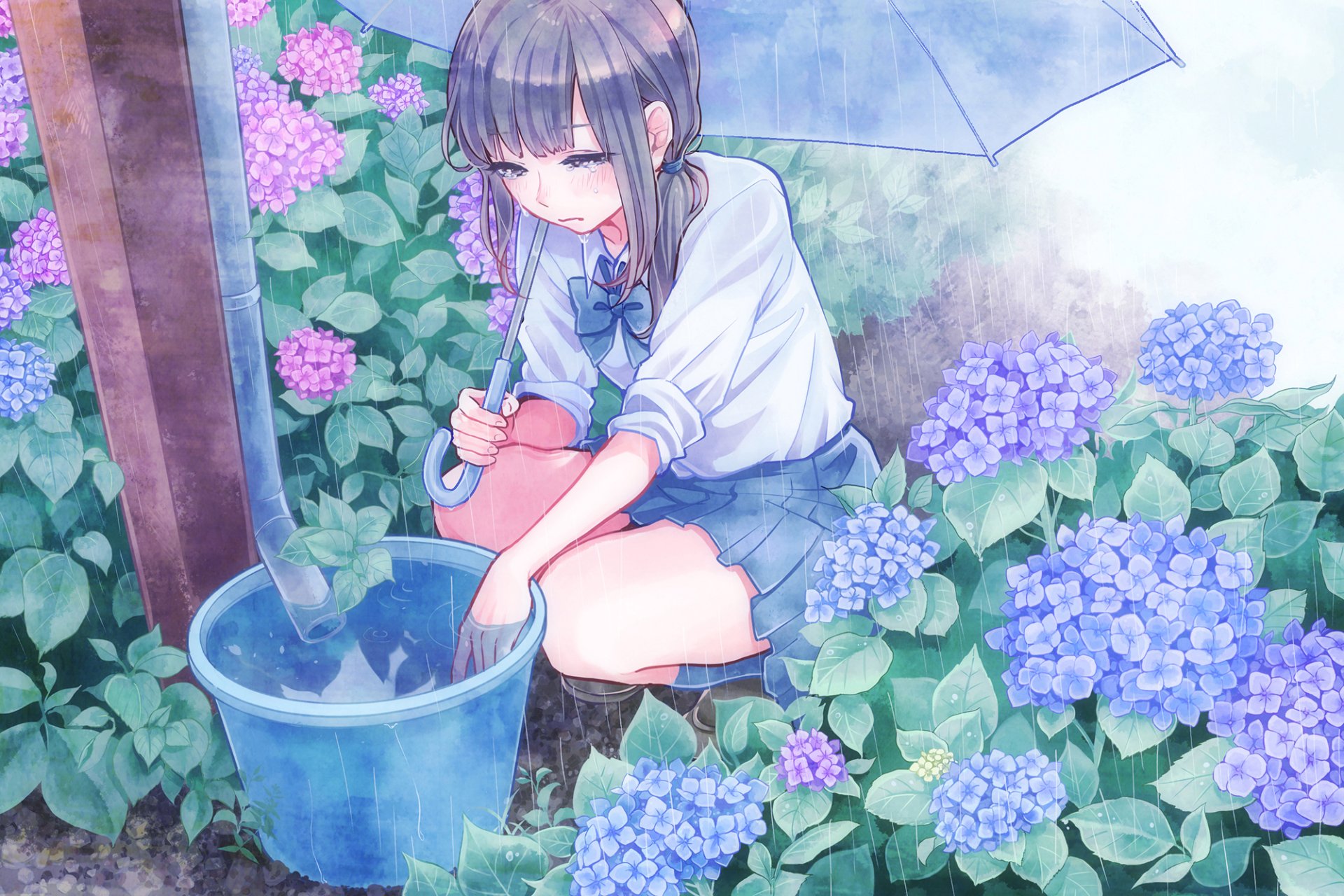 A serene anime scene featuring a girl with an umbrella, gathering rainwater in a bucket, surrounded by vibrant hydrangeas. This is an original HD desktop wallpaper and background.