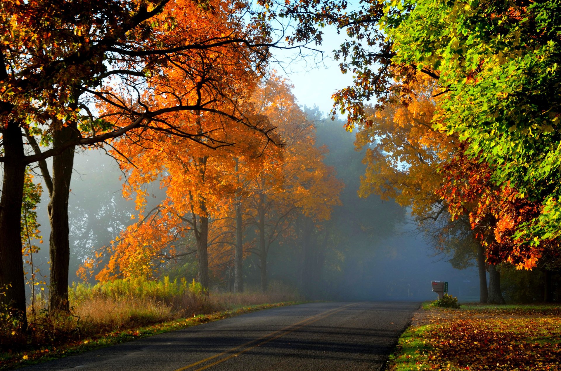 Autumn Mist on Scenic Tree-Lined Road | HD Fall Wallpaper | 3019x2000 ...