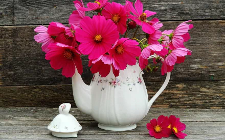  Still Life with Pink Cosmos