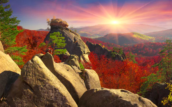 A breathtaking HD wallpaper showcasing a sunset over a fall-colored forest, with rugged mountains in the background. Sunlight illuminates the autumn foliage, creating a serene and vibrant natural landscape.