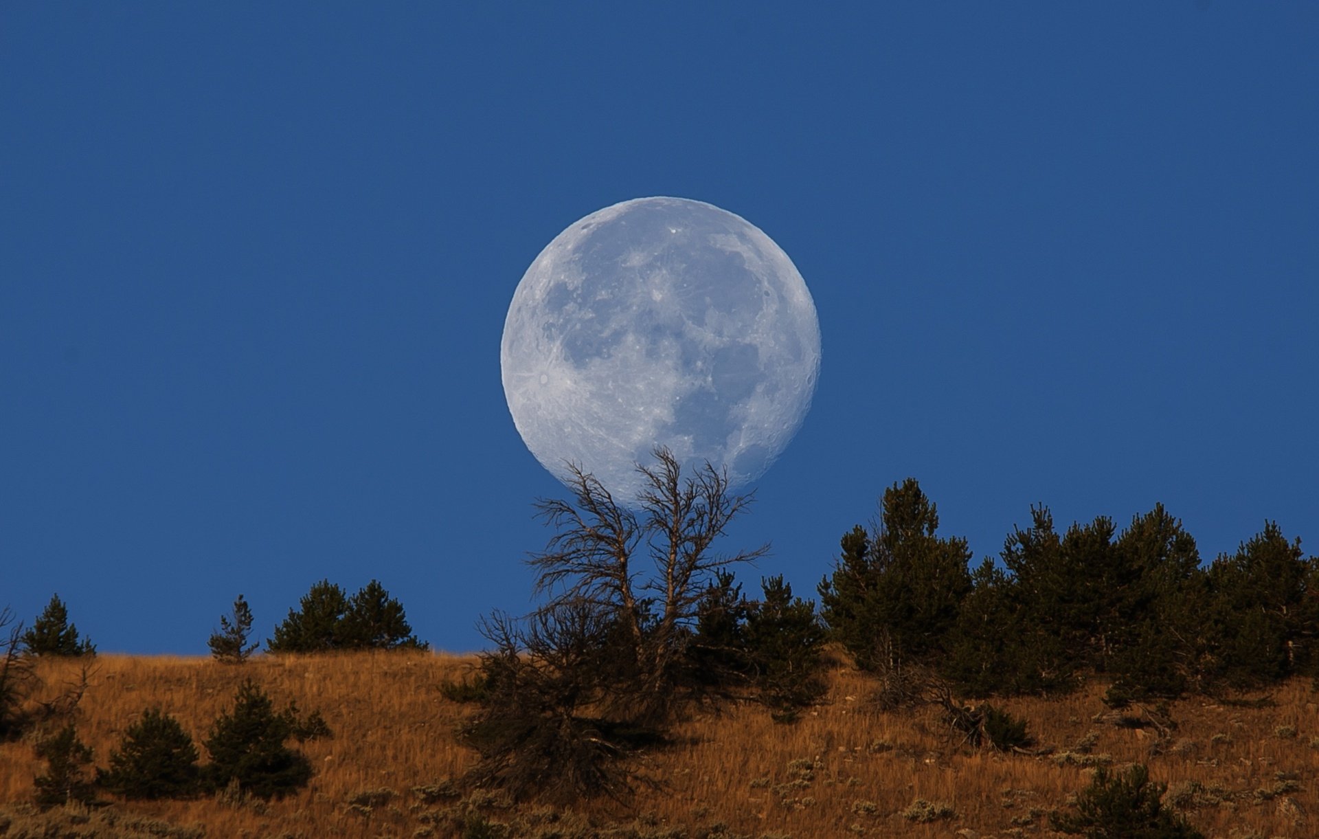 качественные фото луны