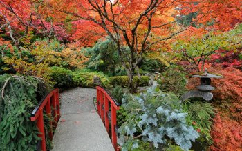 34 Jardin Japonais Fonds Décran Hd Arrière Plans