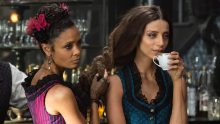 Clementine Pennyfeather Angela Sarafyan Maeve Millay Thandie Newton TV Show Westworld HD Desktop Wallpaper | Background Image