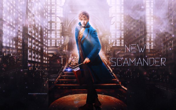 Movie Fantastic Beasts and Where to Find Them Eddie Redmayne Newt Scamander Wand Ministry of Magic HD Wallpaper | Background Image