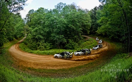 HD PC desktop wallpaper featuring a Subaru rallye vehicle drifting on a forested dirt road during a high-speed turn.