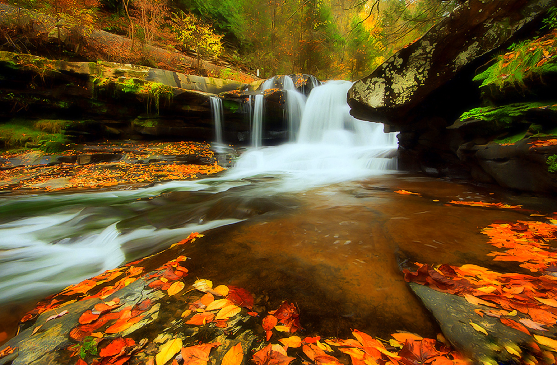 Autumn Forest Waterfall