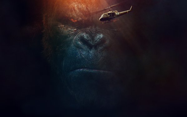 Movie Kong: Skull Island Gorilla Ape King Kong HD Wallpaper | Background Image