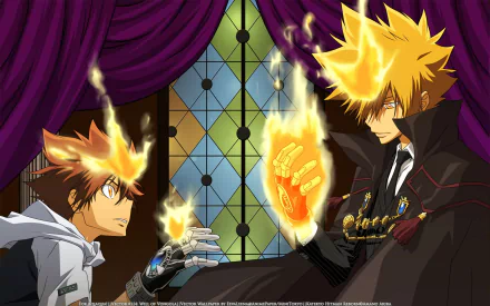 Giotto (Katekyō Hitman Reborn!) Tsunayoshi Sawada Anime Katekyō Hitman Reborn! HD Desktop Wallpaper | Background Image