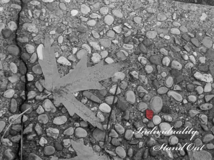 A striking black and white photograph of a leaf on a textured surface, emphasizing individuality with a single red accent. This HD wallpaper inspires reflection and creativity.