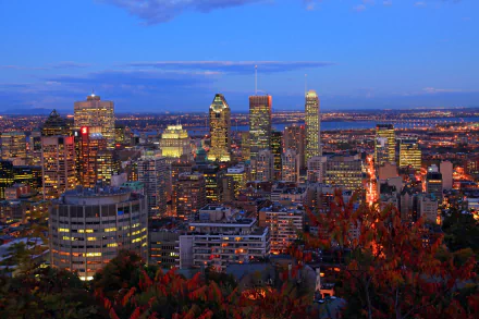 cityscape skyscraper building night Canada city man made Montreal HD Desktop Wallpaper | Background Image