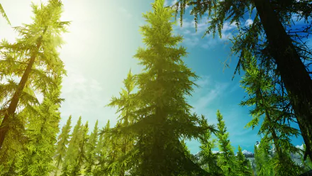  Skyrim nature