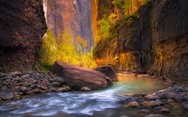 A serene view of the Virgin River flowing through a canyon in Zion National Park, surrounded by rugged cliffs and illuminated by warm natural light.