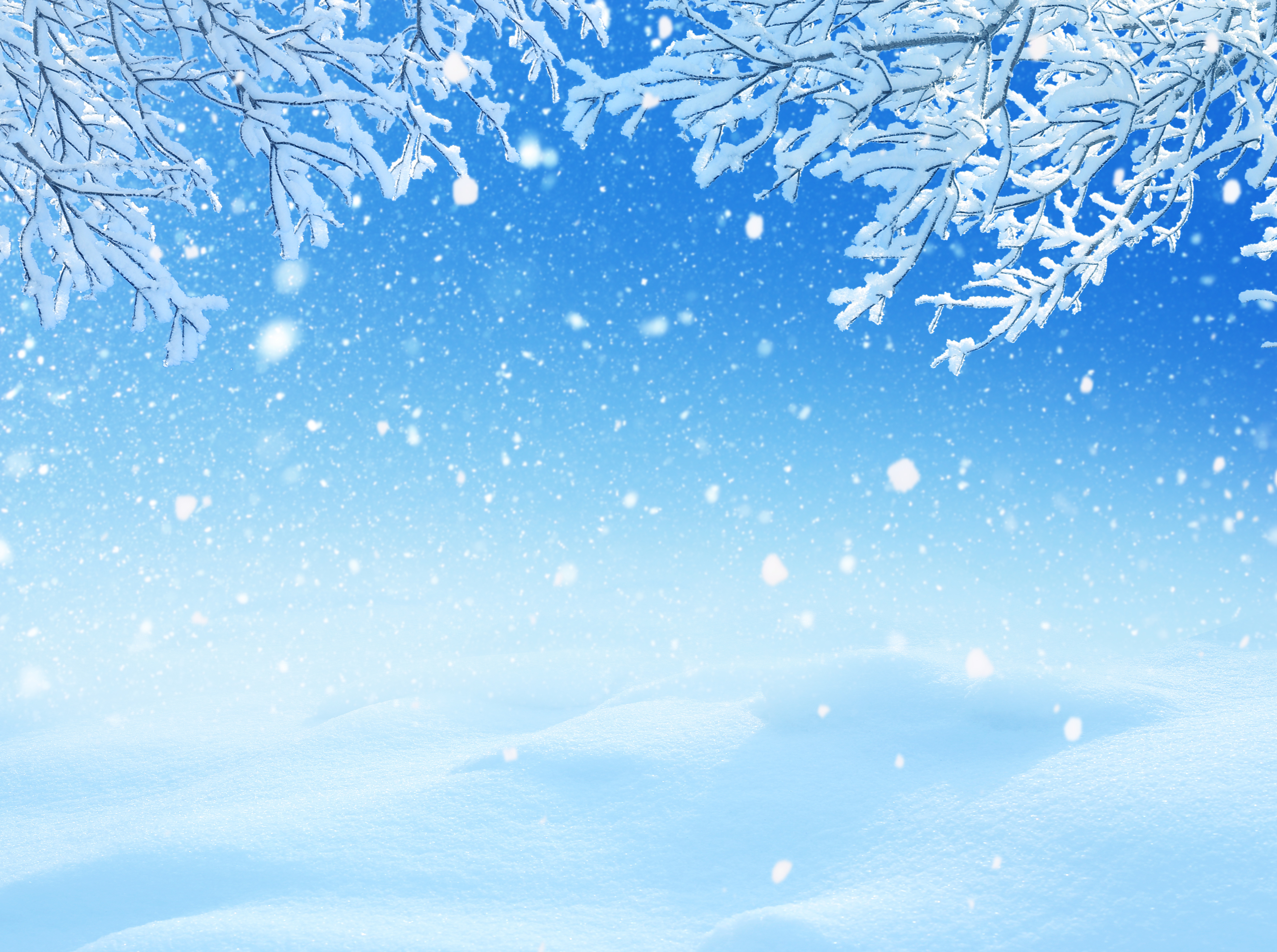 Download Snow Nature Winter 4k Ultra HD Wallpaper