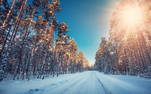 Nature Winter HD Wallpaper | Background Image