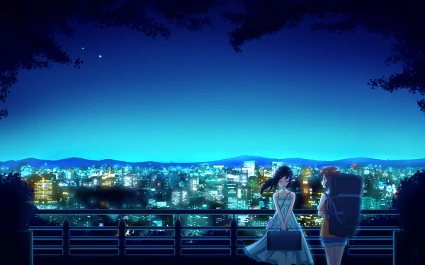 Anime HD PC desktop wallpaper/background — Sound! Euphonium: two schoolgirls on a nighttime overlook, neon-lit city skyline behind them, one holding a band instrument case.