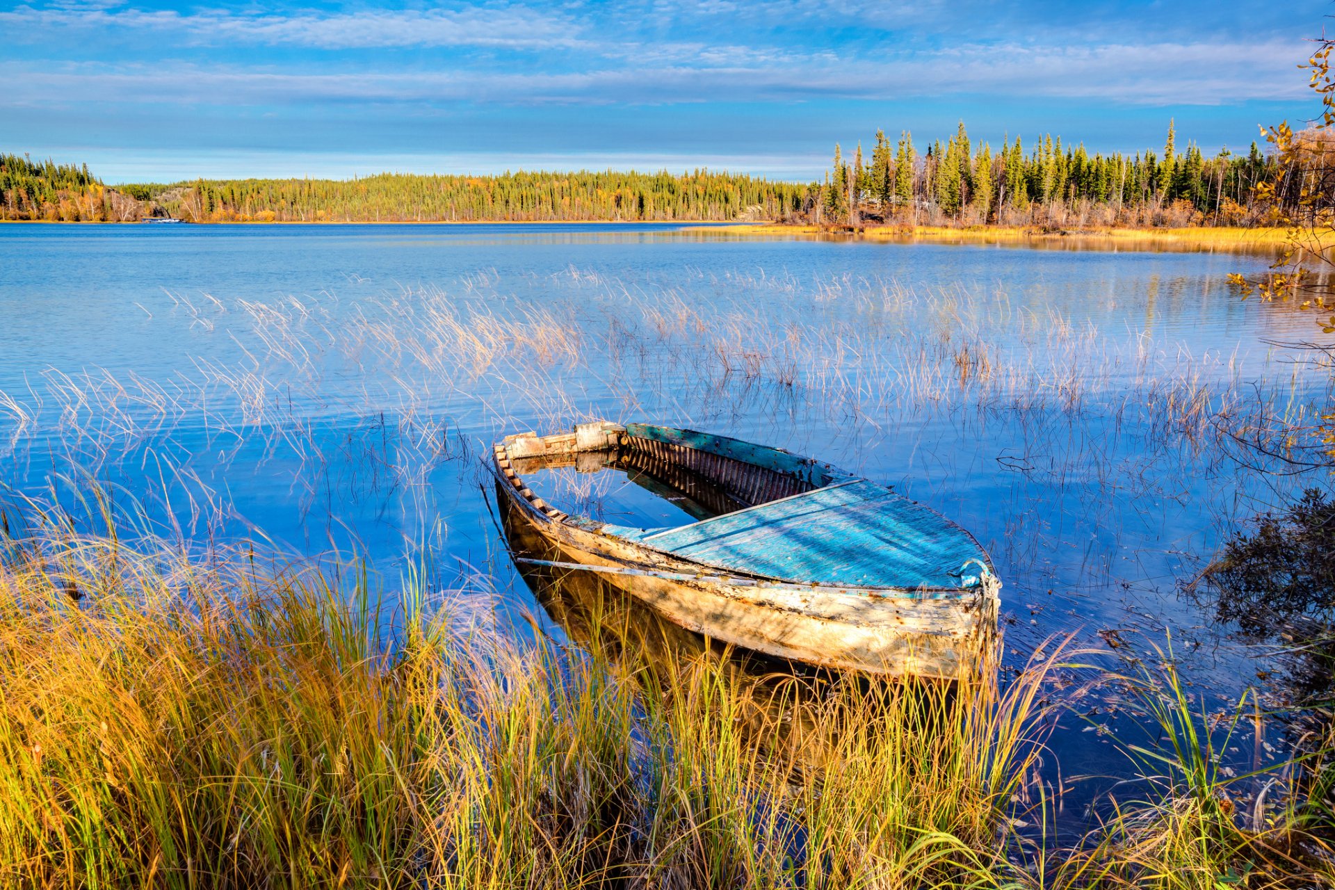 A serene HD wallpaper capturing a quiet lakeside scene with a weathered boat resting among the grass, under a clear blue sky.