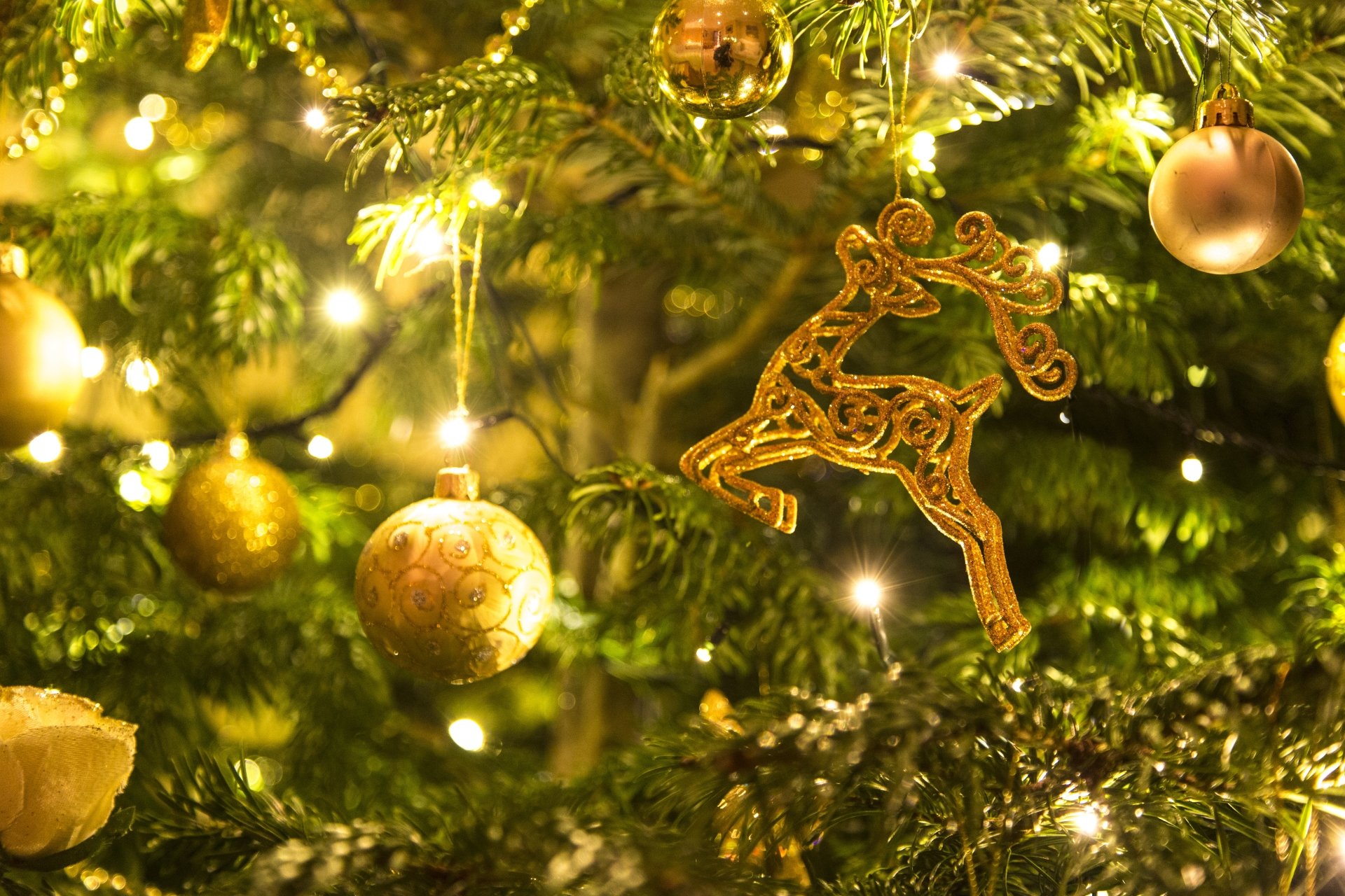 A close-up of a Christmas tree decorated with glowing lights, golden baubles, and a metallic reindeer ornament, captured in 4K Ultra HD for PC desktop wallpaper.