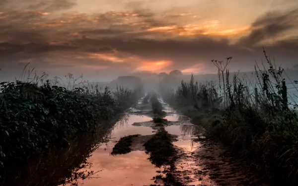 A foggy dirt road at dawn winds through nature, reflecting the vibrant colors of the sunrise in a serene 4K Ultra HD desktop wallpaper.