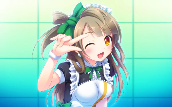 Kotori Minami Anime Love Live! HD Desktop Wallpaper | Background Image