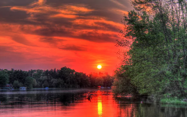 HD desktop wallpaper of a vibrant orange sunset over a calm lake, with twilight sky and lush trees reflecting in the water, capturing serene evening nature photography.