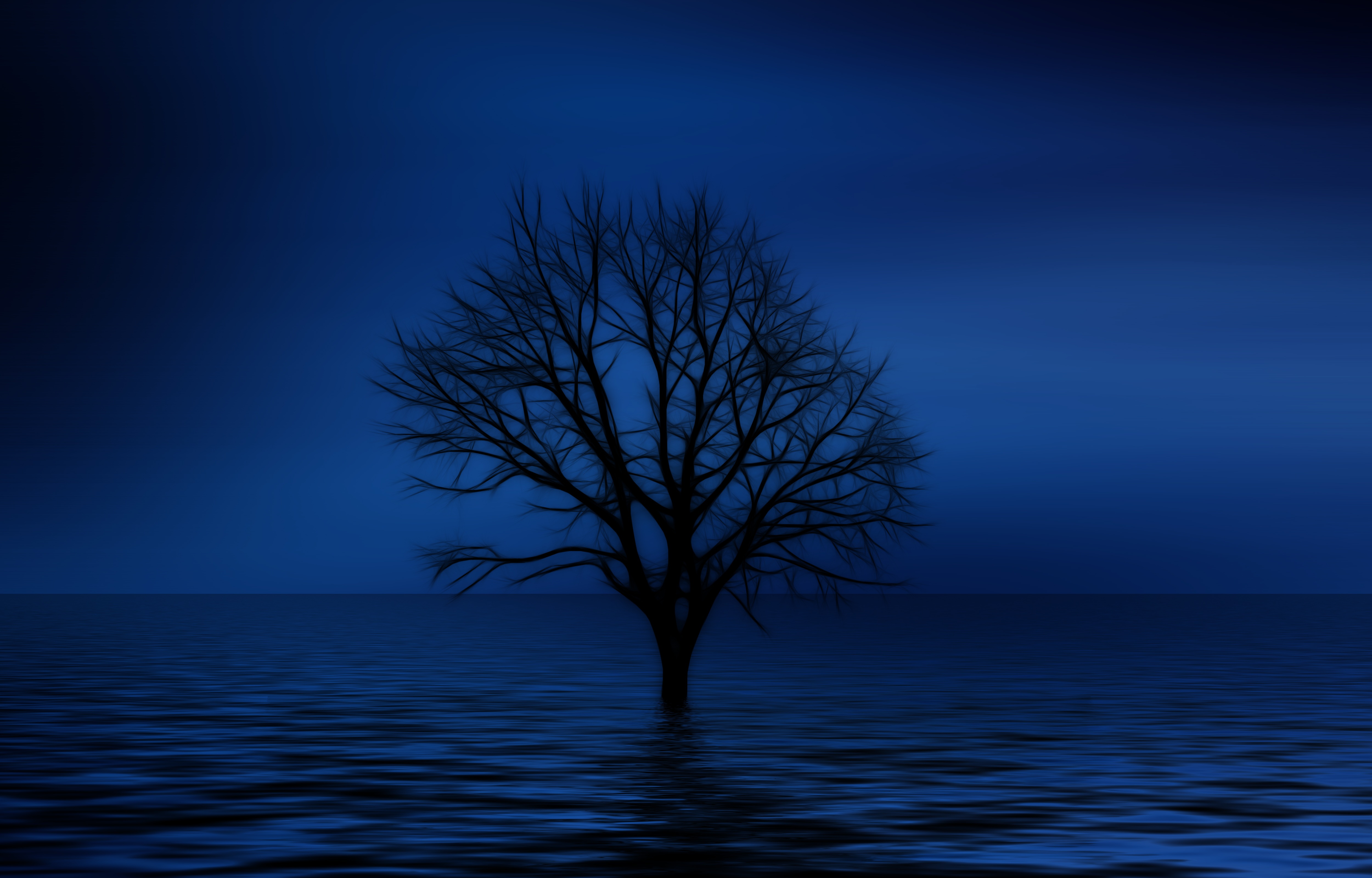 230+ Lonely Tree HD Wallpapers and Backgrounds 230+ Lonely Tree HD Wallpapers and Backgrounds