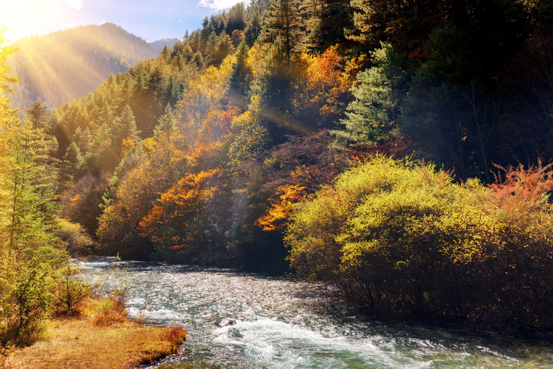 4K Ultra HD: Sunlit Fall Forest by the River | 5500x3670 | Wallpaper Abyss