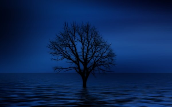 Artistic Tree Blue Lonely Tree HD Wallpaper | Background Image