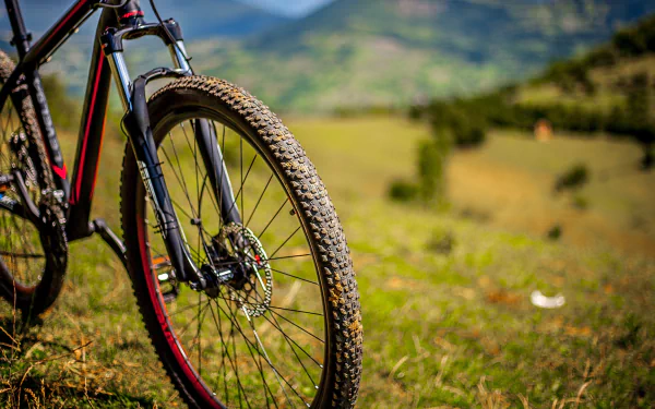 Close-up of a mountain bike tire on green grass with a blurred natural landscape in the background, capturing the essence of MTB cycling and outdoor sports.