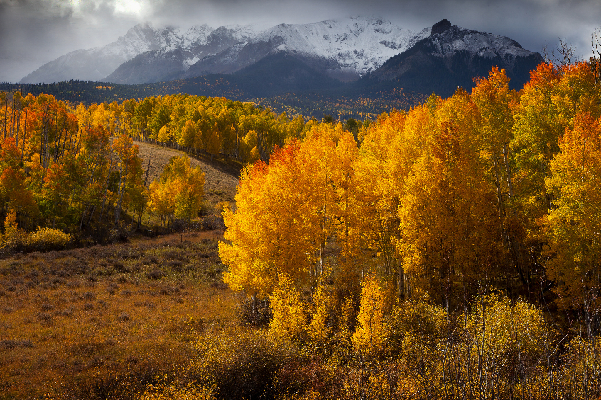 Download Mountain Tree Fall Nature Landscape HD Wallpaper